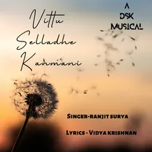 Vittu Selladhe Kanamani